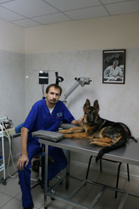ветеринарная офтальмологическая клиника шилкина